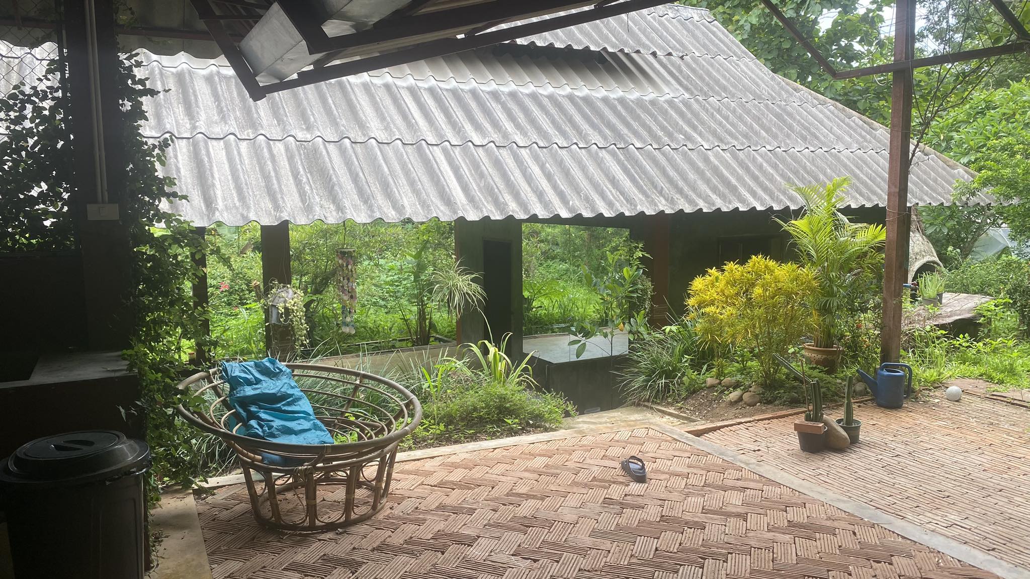House for Rent