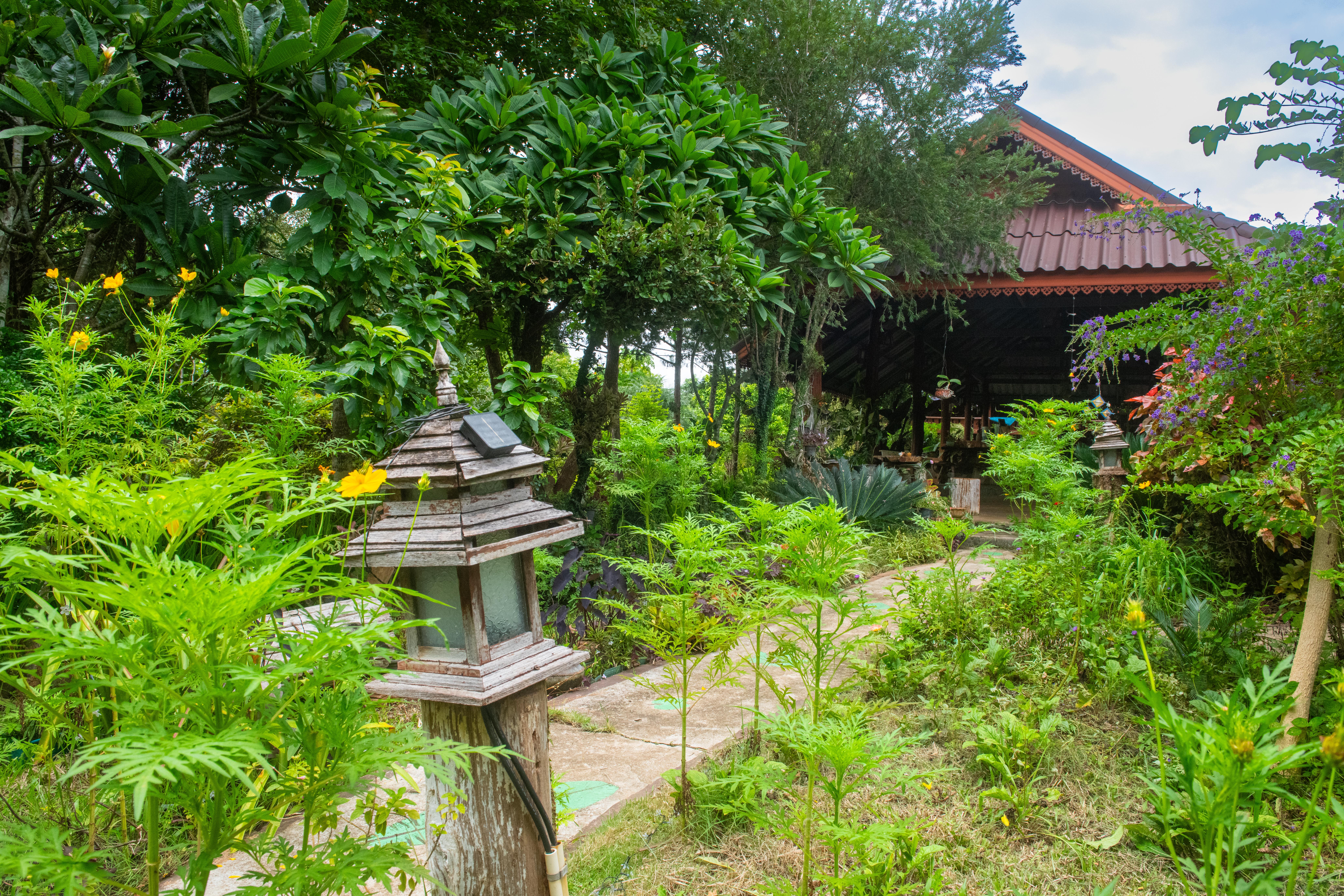 In Pai Resort