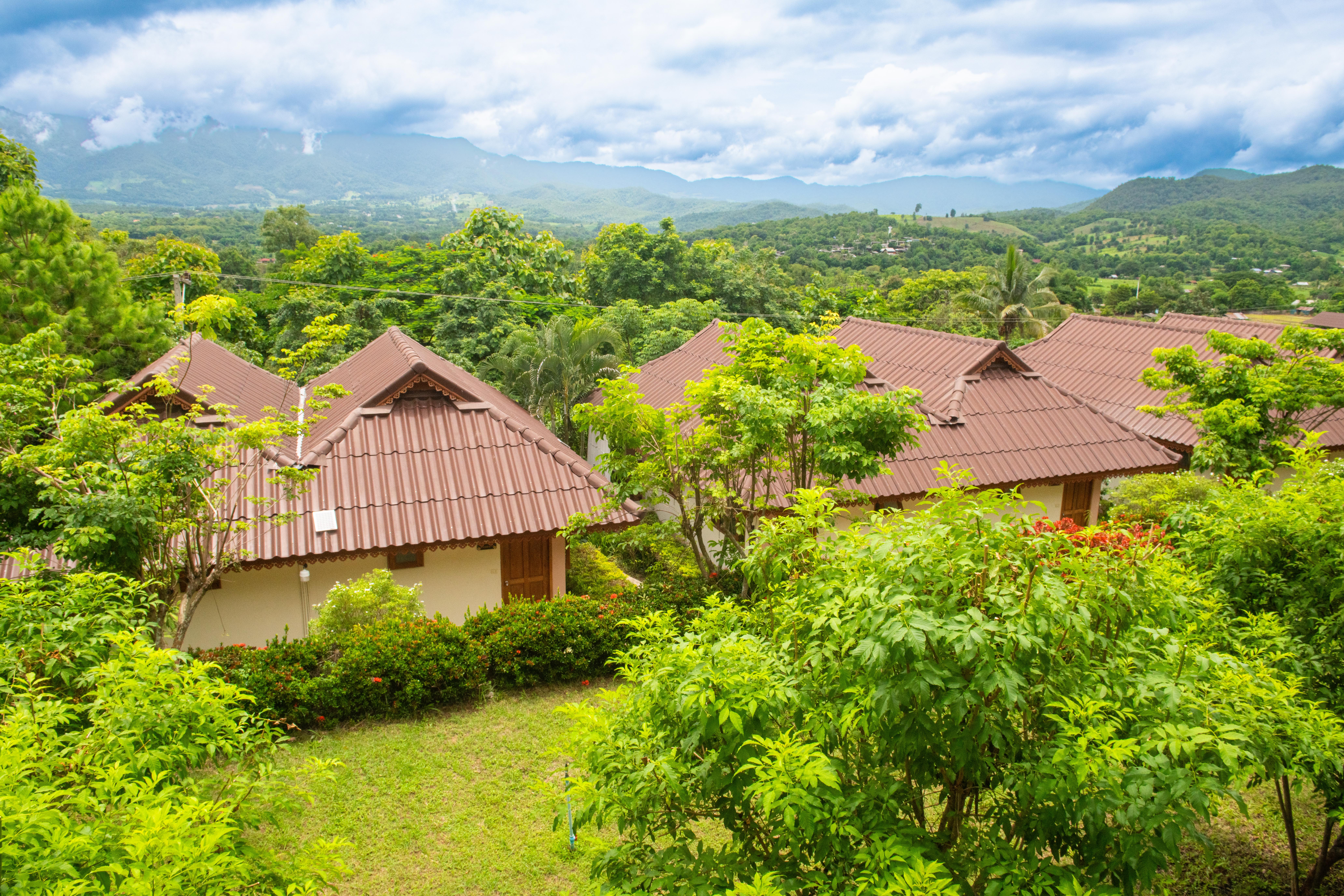 Garden Views
