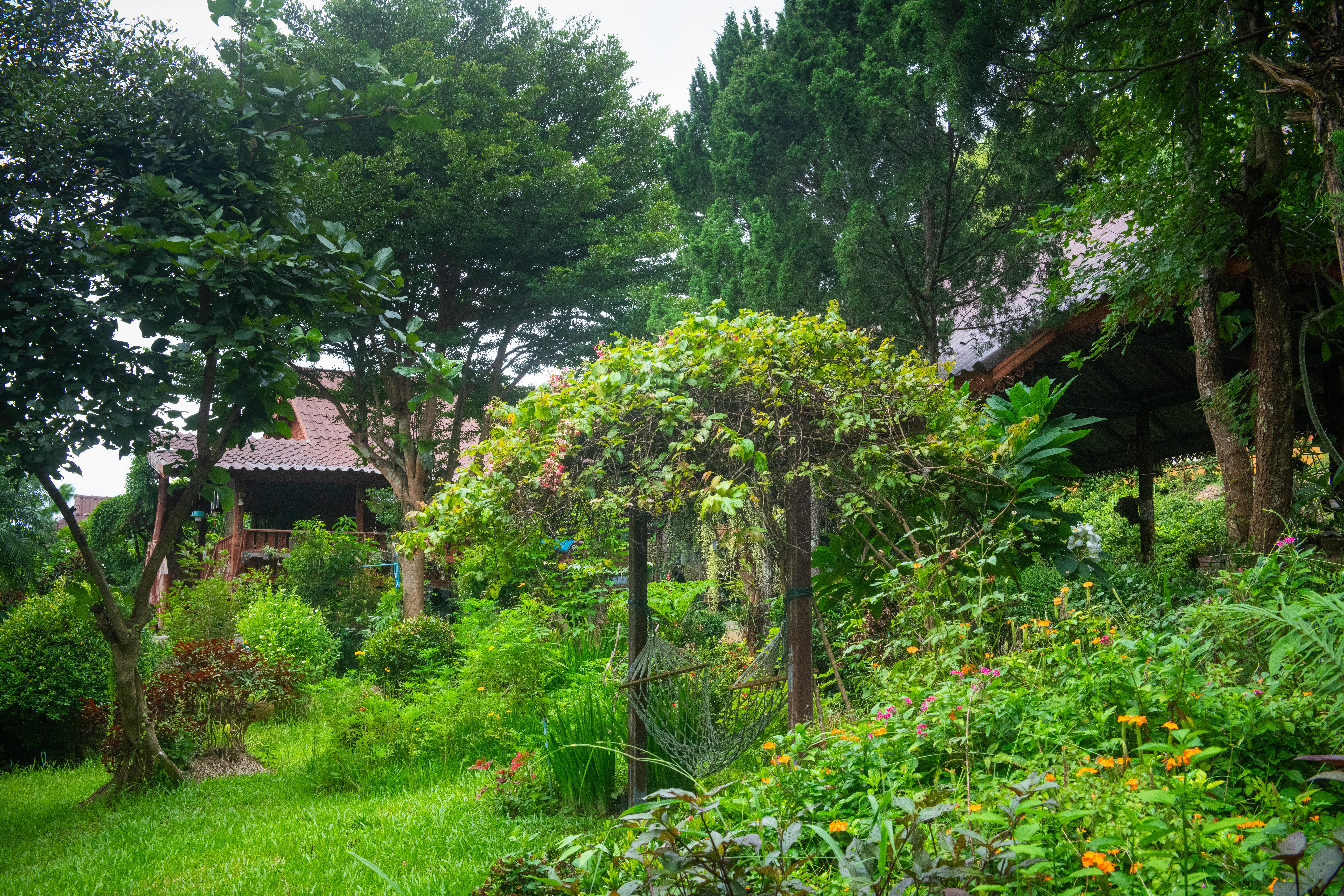 Yoga Retreat